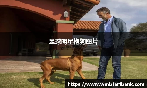 竞技宝官网